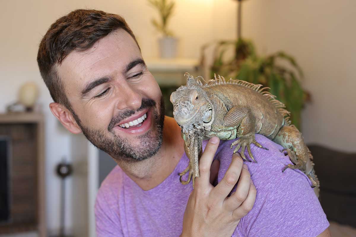 stock-photo-man-and-his-spectacular-iguana-2119575851