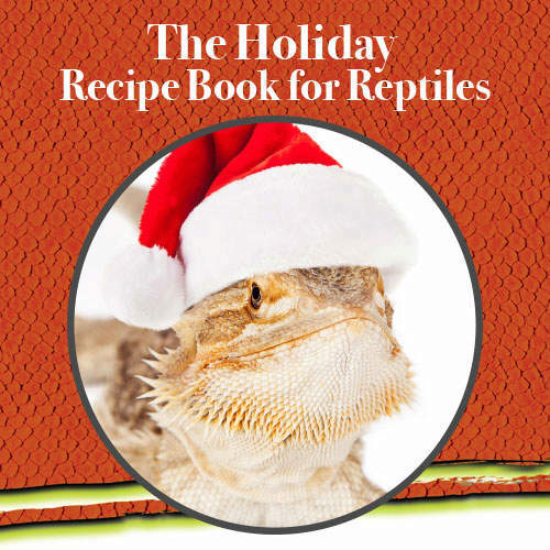 Bearded Dragon Lizard Wearing Santa Hat on Cover of a Recipe Book