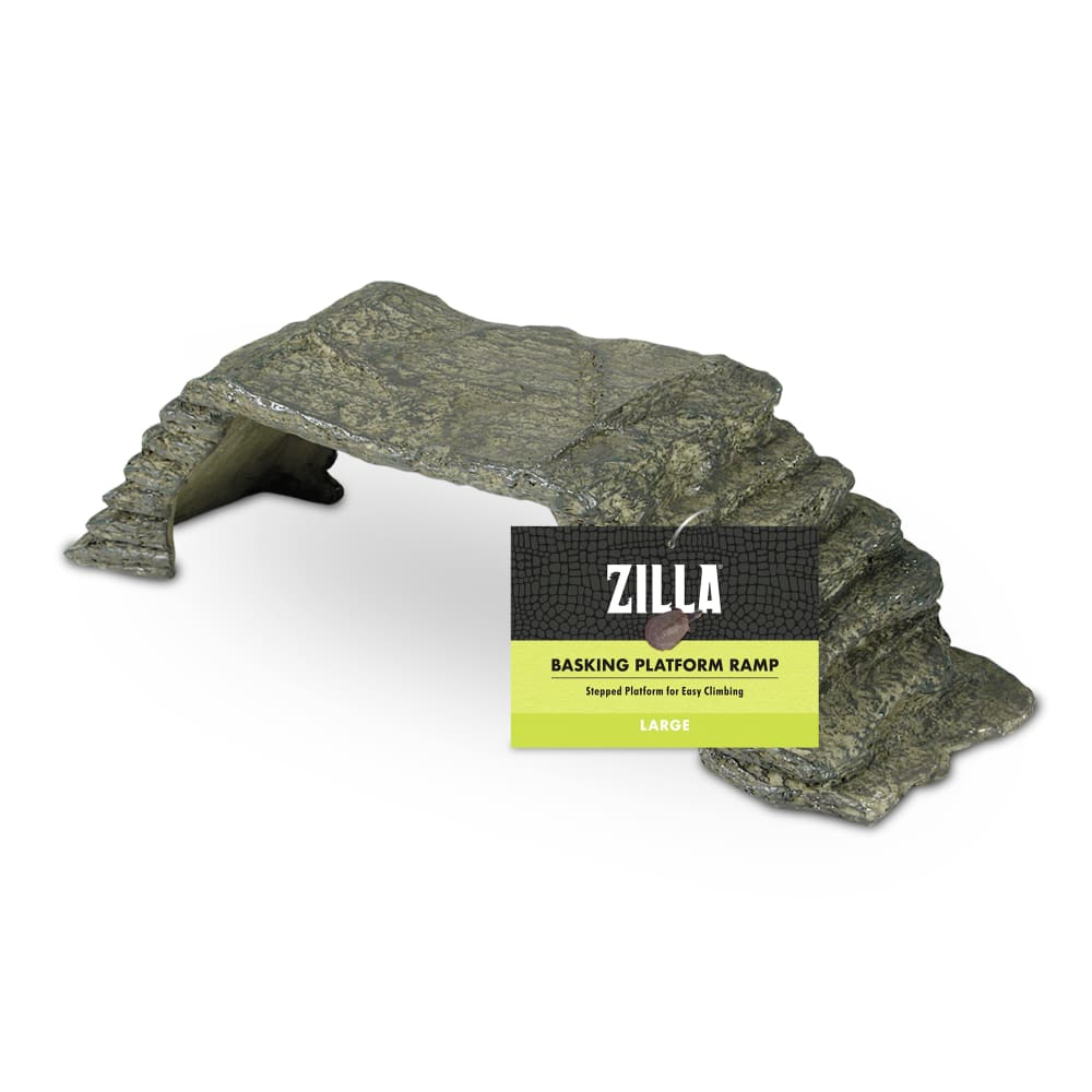 sapm100111576-front01