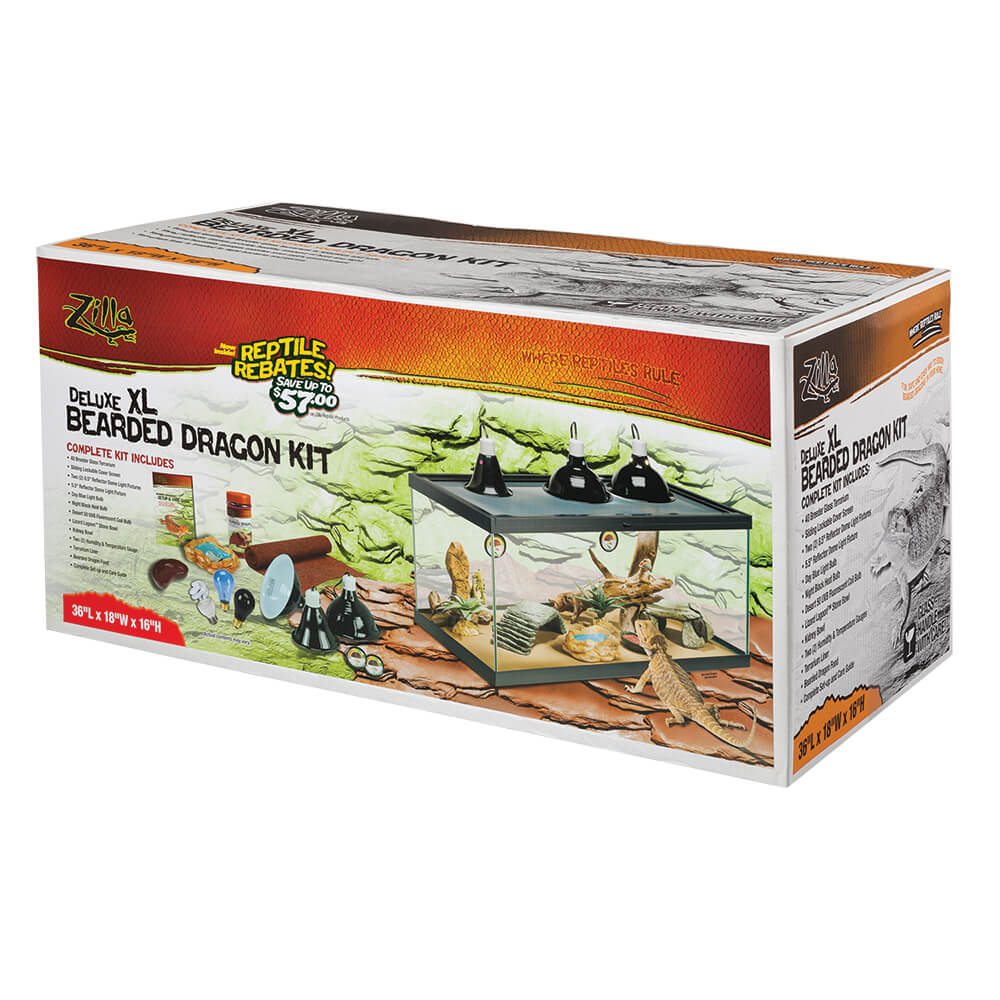 Zoo med 20l shop bearded dragon kit