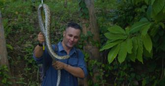 Zilla Beyond The Glass