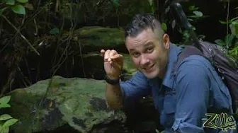 Zilla Beyond The Glass