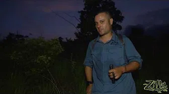 Zilla Beyond The Glass