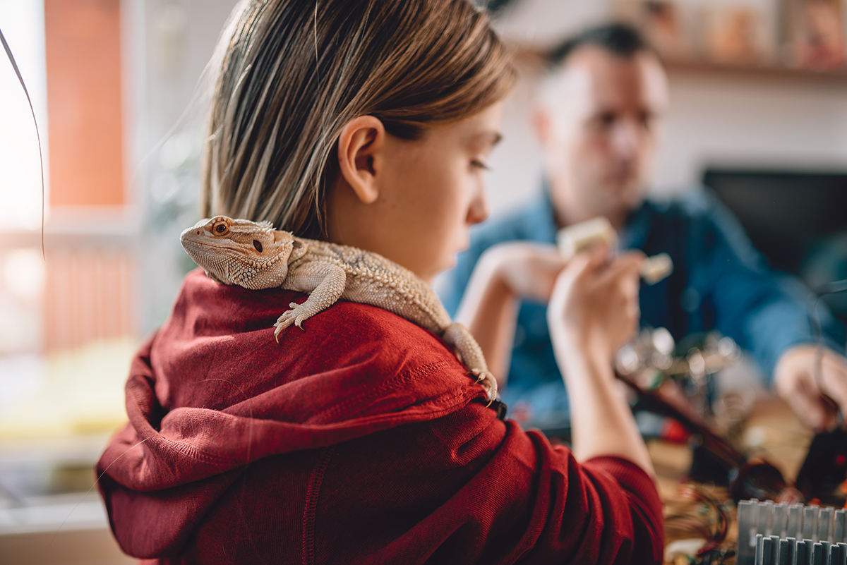 5 Friendly and Affectionate Reptile Pet Species