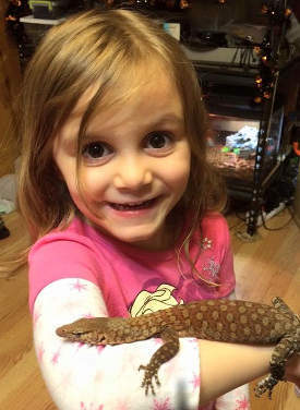 little girl smiling with her arm out and a lizard on her arm