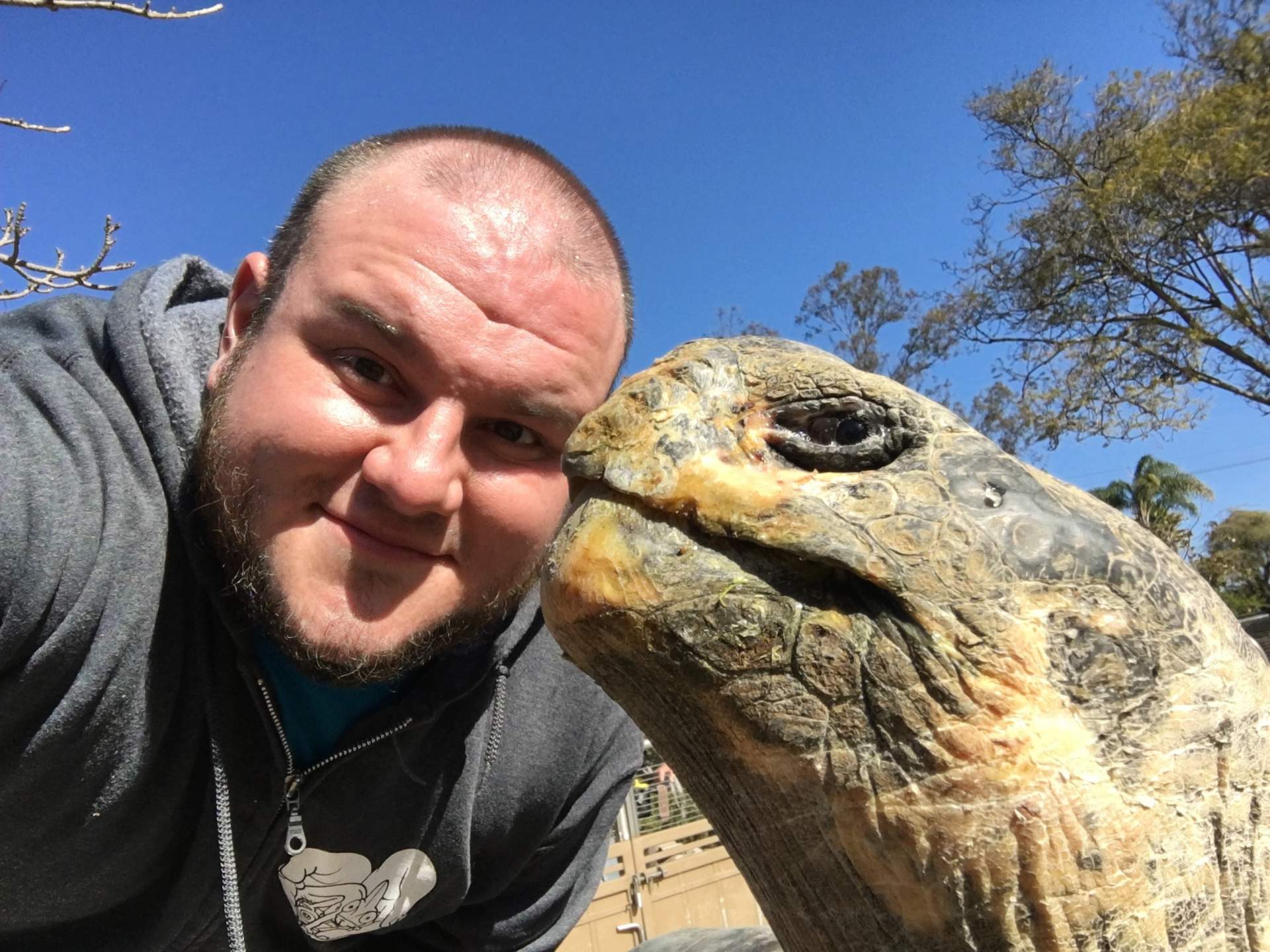 close up of a galapagos turtle's face with a man's face next to it