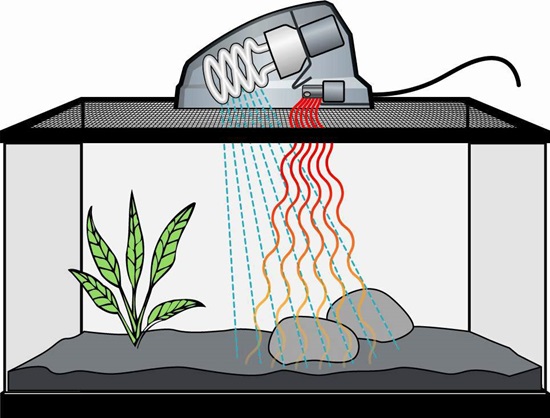Drawing of Zilla terrarium with light fixture above showing the ray's path of fluorescent light and heat light down into cage