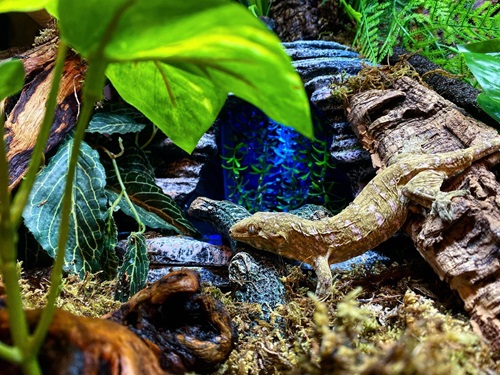 Zilla Lab Spotlight