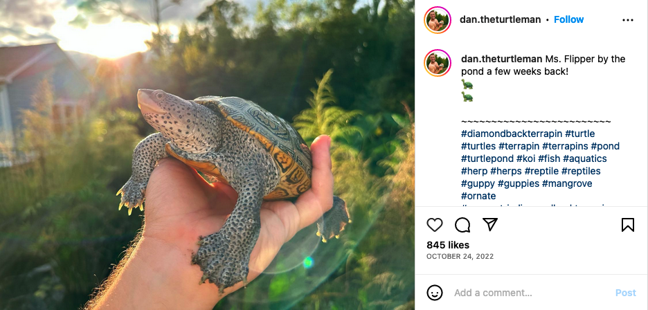 Screenshot_2023-05-12_at_91532_AM