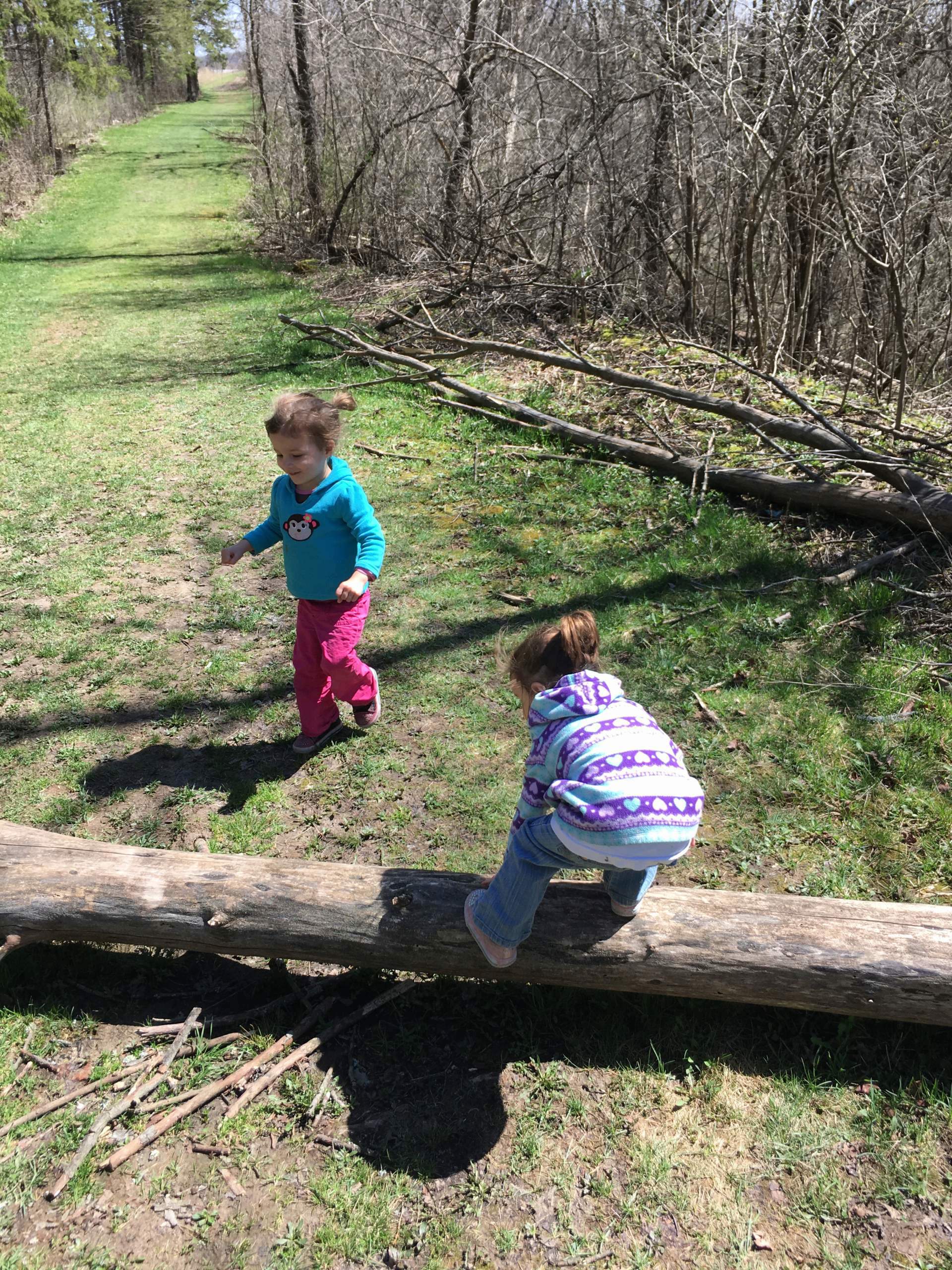 two little kids field herping in the grass and fallen logs