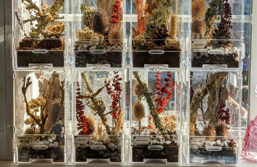 MicroHabitats