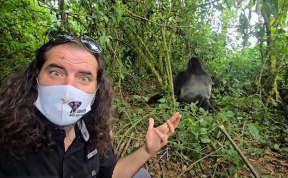 Dav with Gorilla beringei beringei