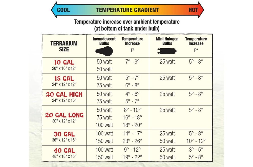 Grreat choice nighttime incandescent heat on sale bulb