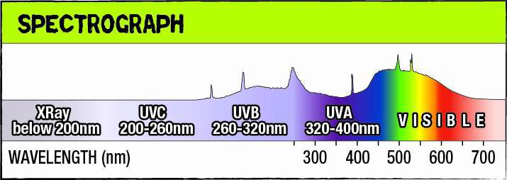 Understanding UVA, UVB, UVC Lighting