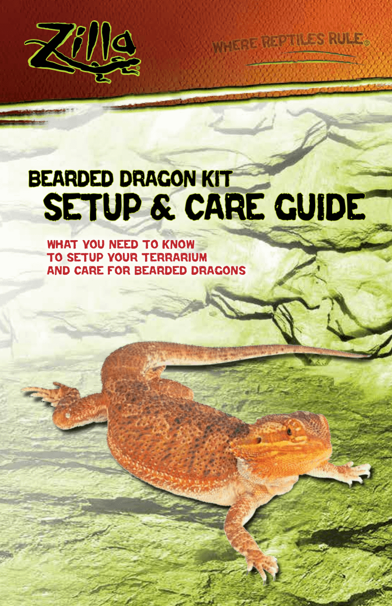 Bearded Dragon Kit Setup & Care Guide PDF