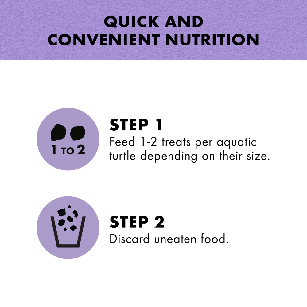 turtlechasers-infographic02