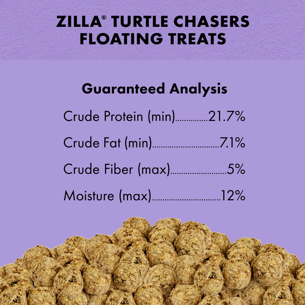turtlechasers-infographic06