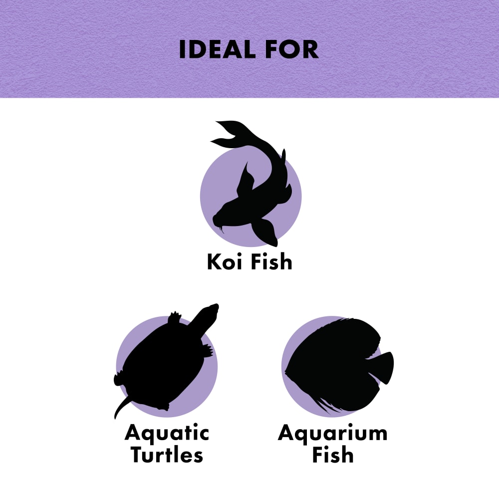 zilla-infographic03-benefitturtlechasers