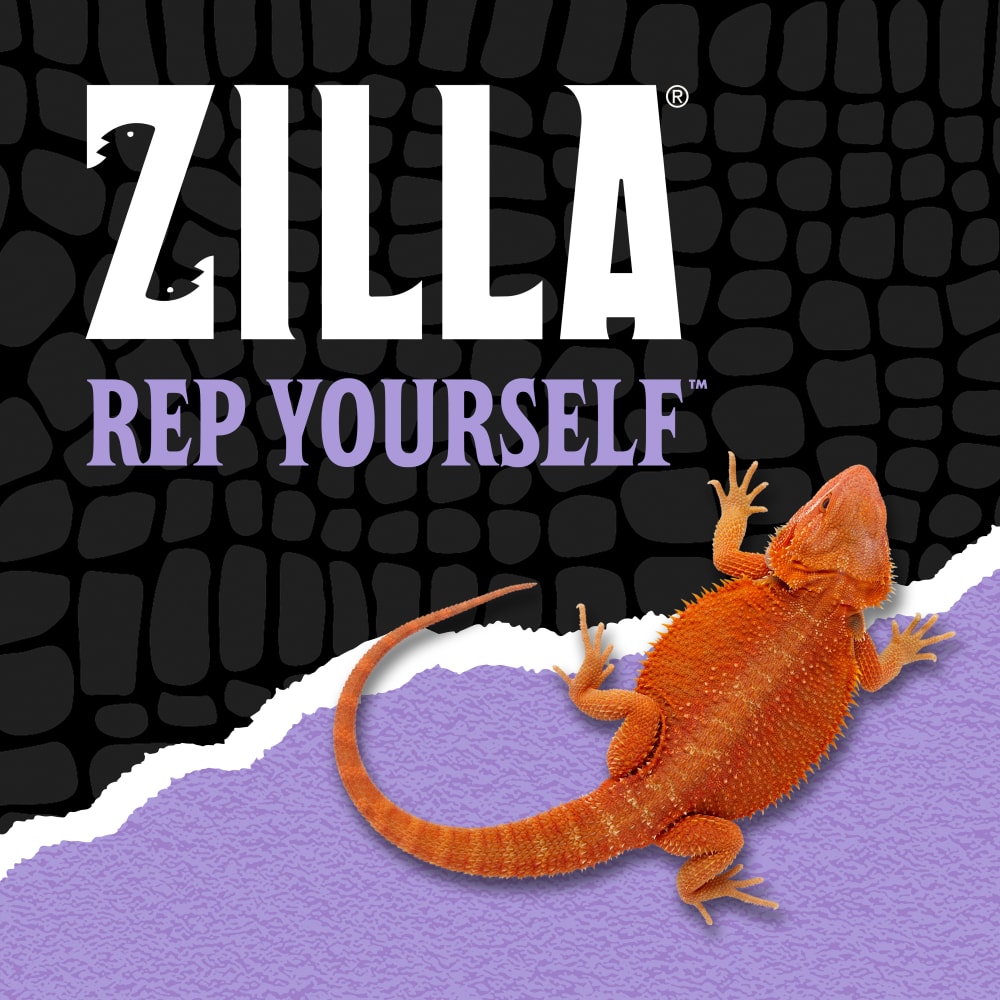 zilla-lifestyle20-brandingr