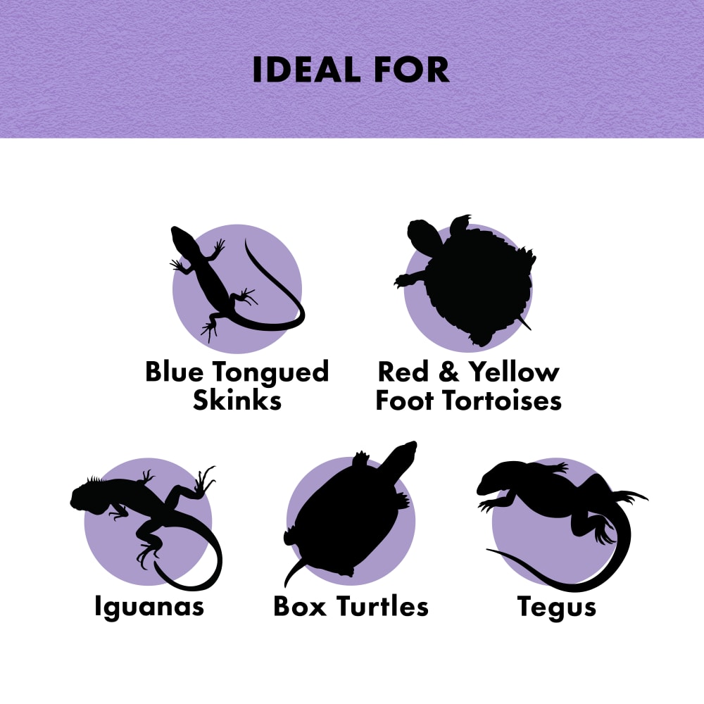 zilla-infographic03-benefitfruit