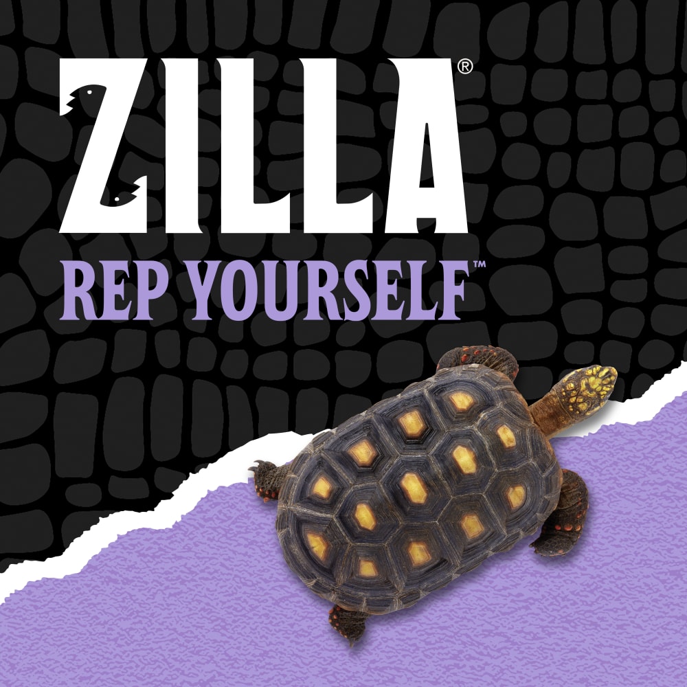 zilla-lifestyle20-brandingp