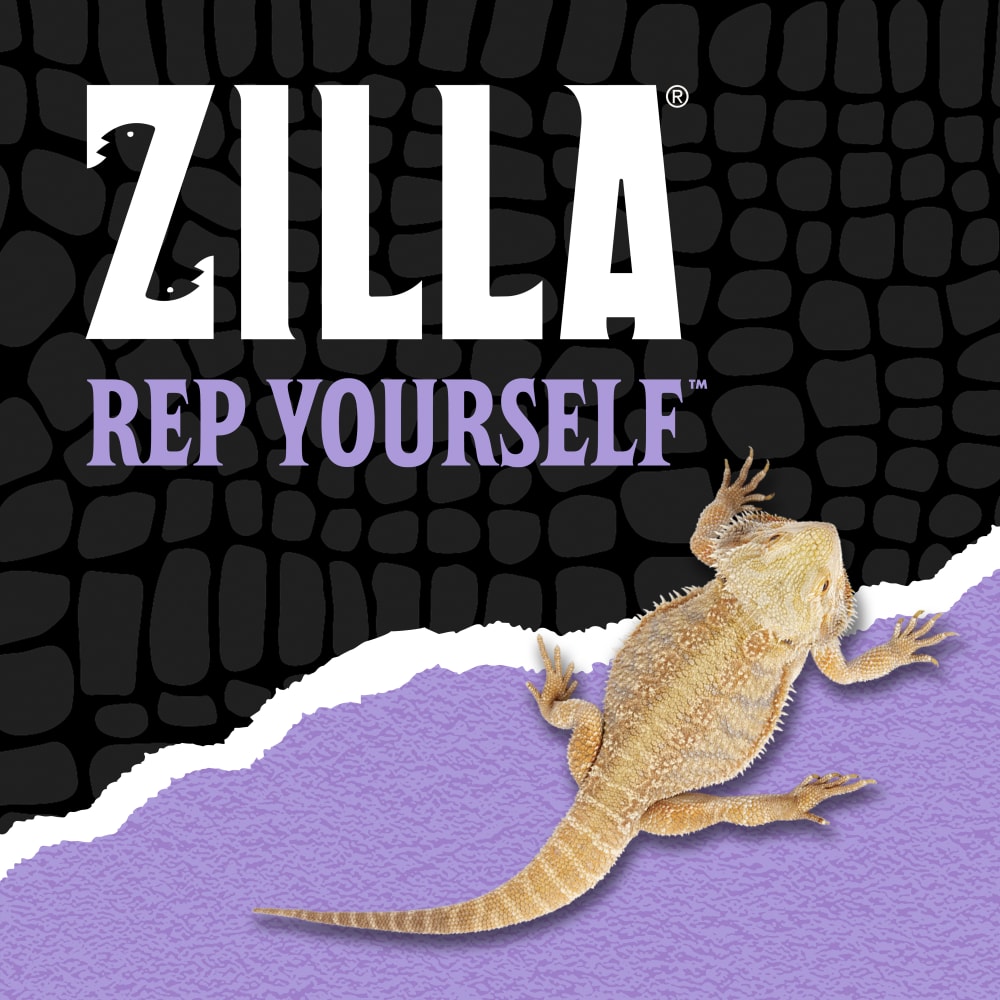 zilla-lifestyle20-brandingt