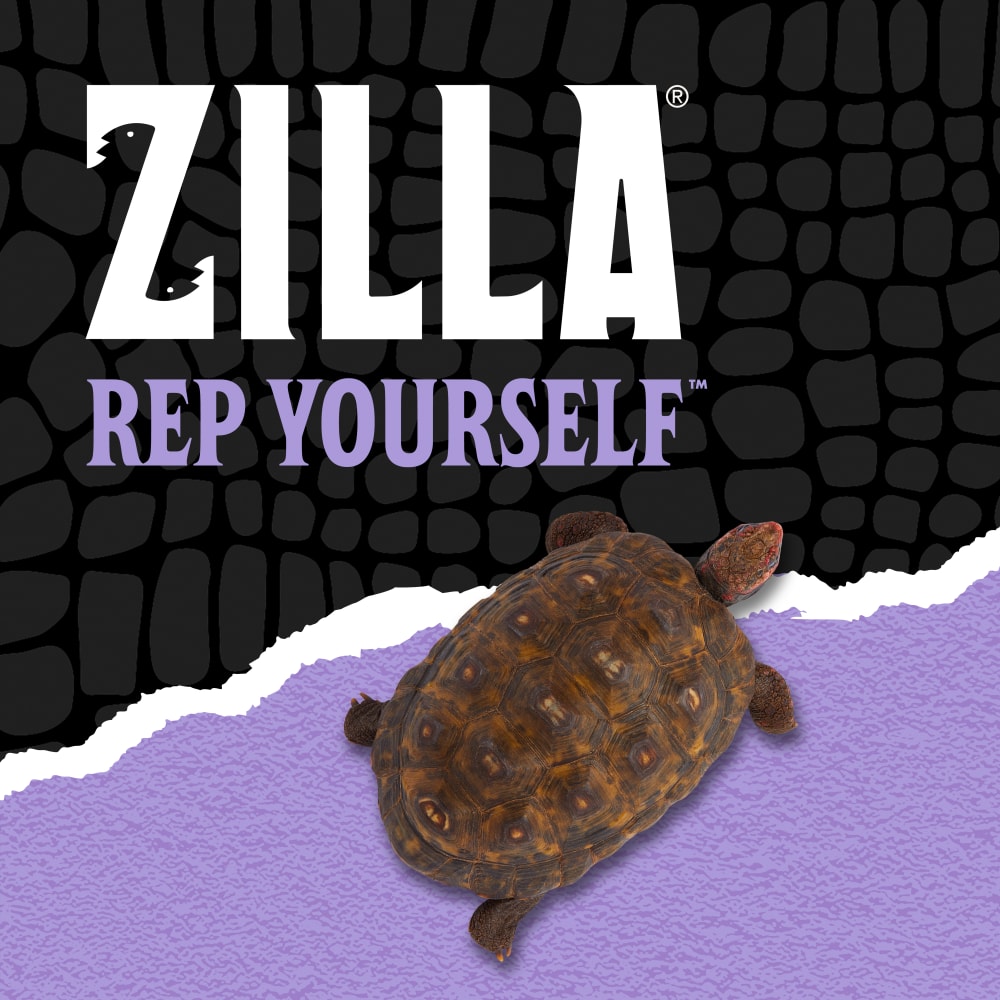 zilla-lifestyle20-brandingq
