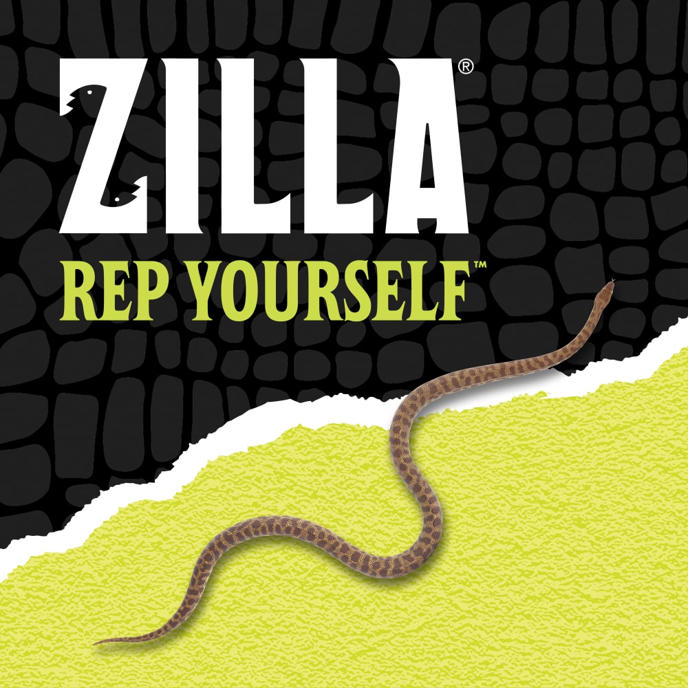Zilla Rep Yourself with a snake over black scale background ripped halfway into lime green