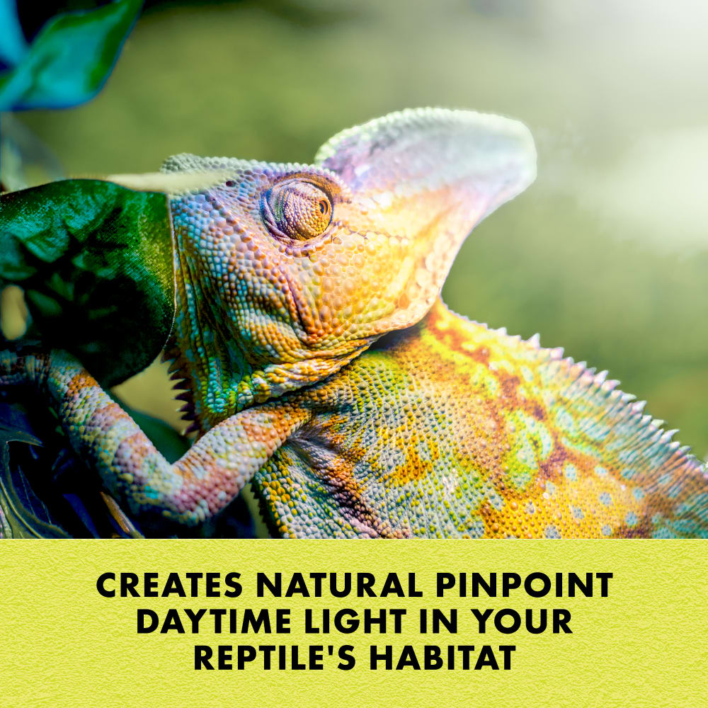 Zilla incandescent spot bulb in day white creates natural pinpoint daytime light in your habitat