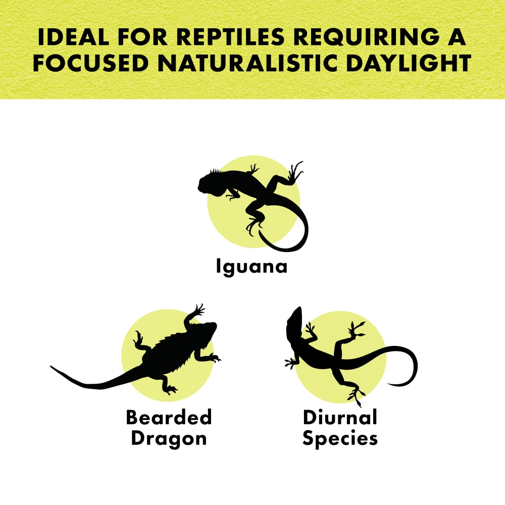 Ideal for reptiles requiring focused daylight such as iguanas, bearded dragons, diurnal species