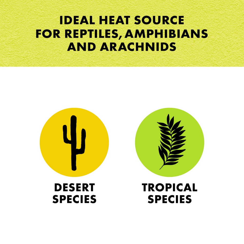 Icons showing ideal use for desert and tropical species
