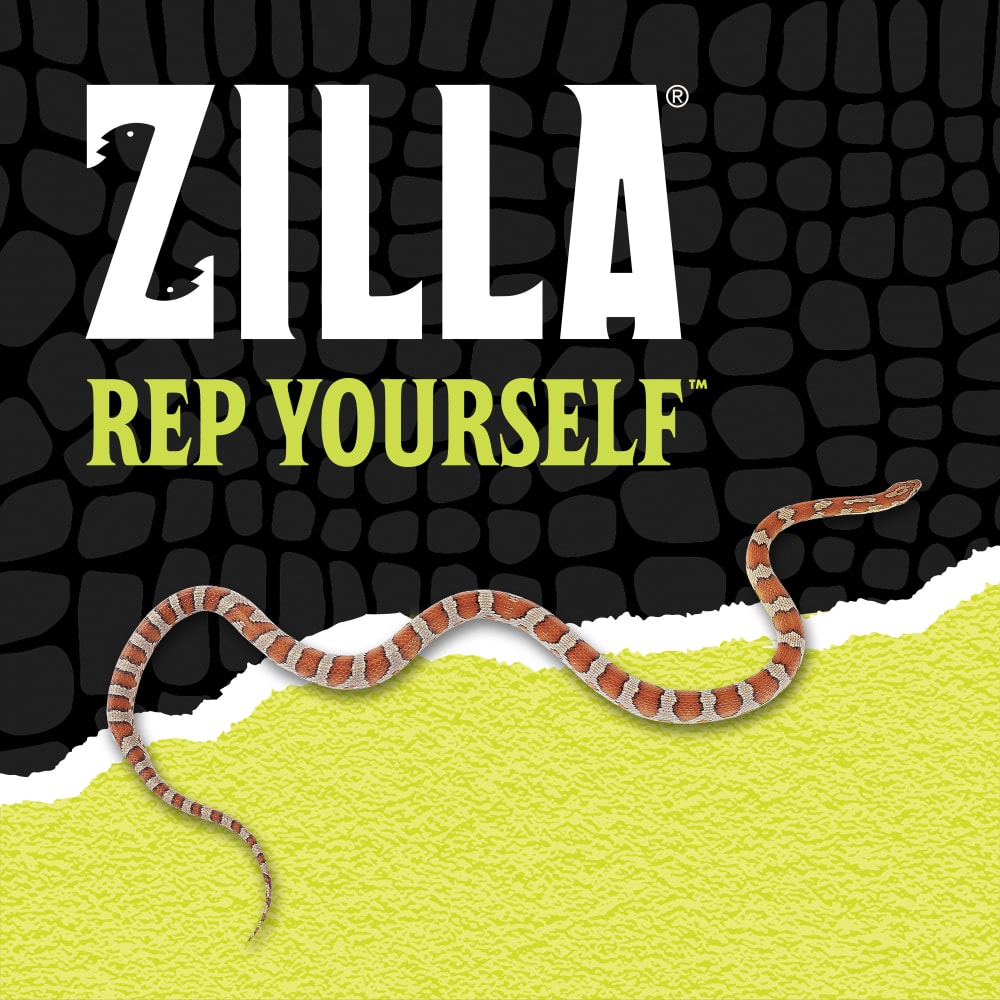 Zilla rep yourself with a snake over black scale background ripped halfway into green