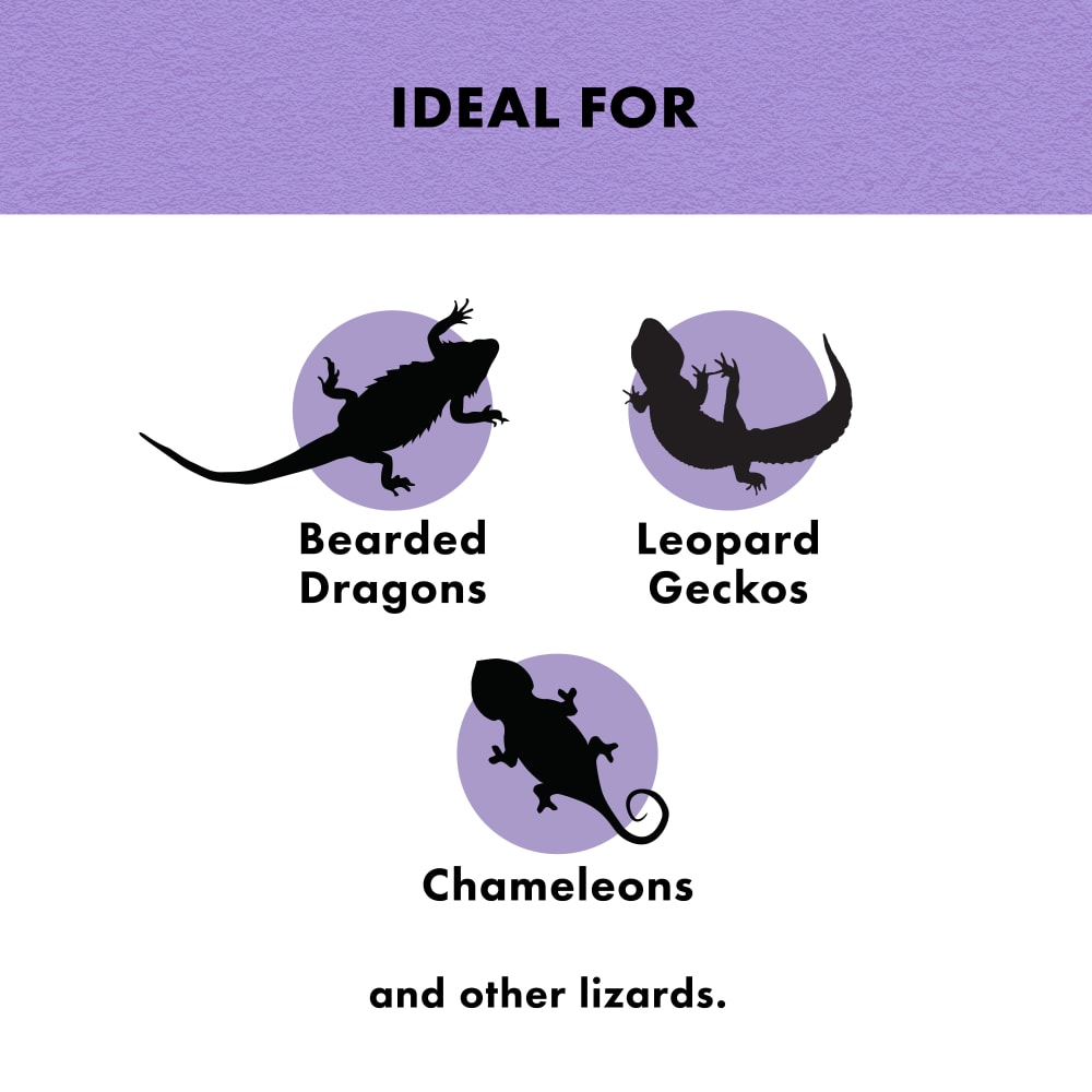 zilla-infographic03-benefitmealworm