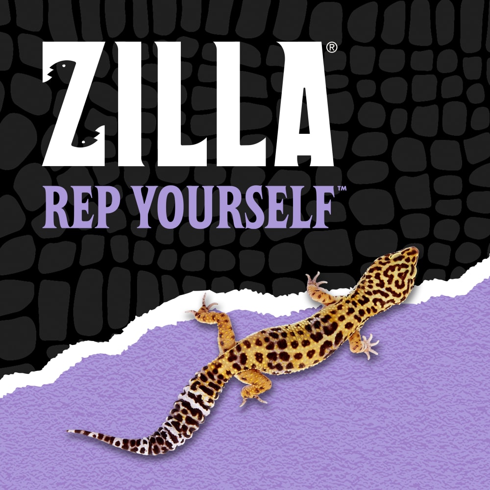 zilla-lifestyle20-brandingad