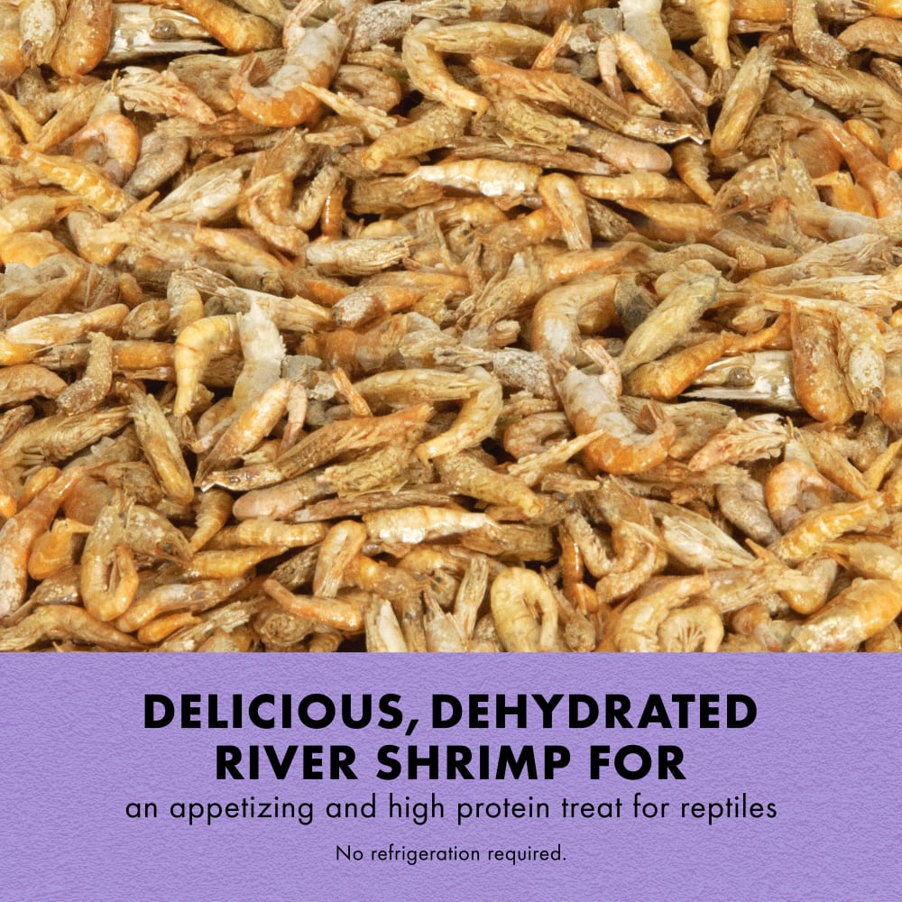 rivershrimp-infographic01