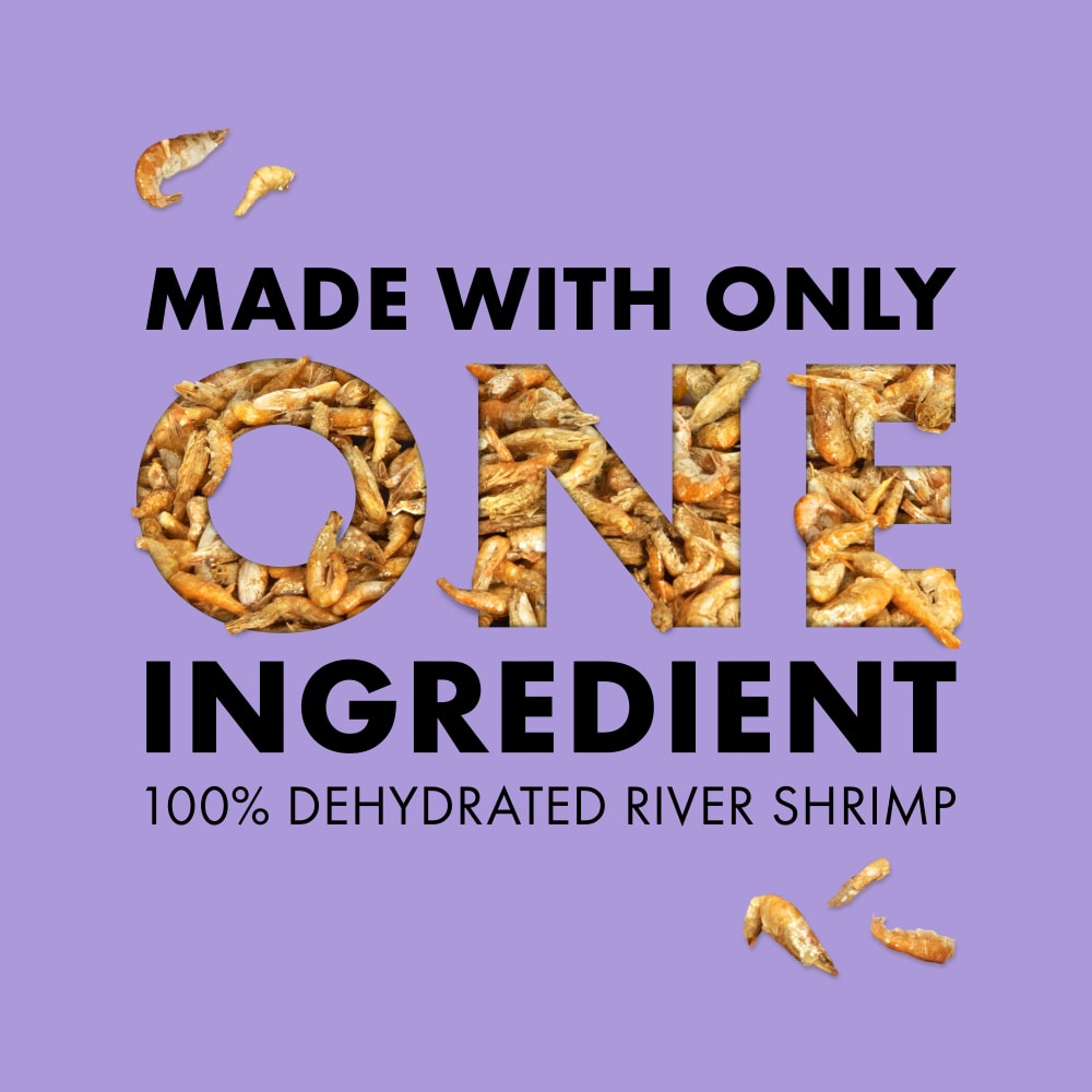 rivershrimp-infographic04
