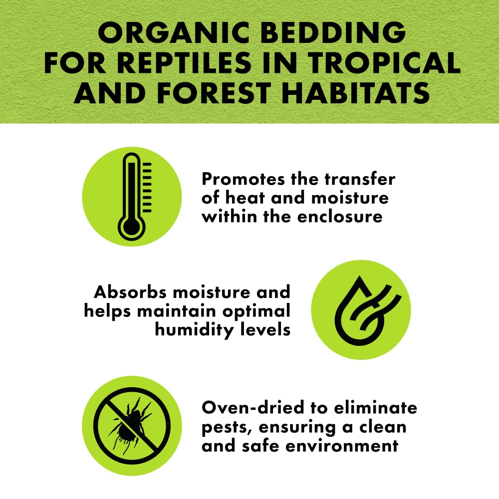 barkblend-infographic02-benefits1