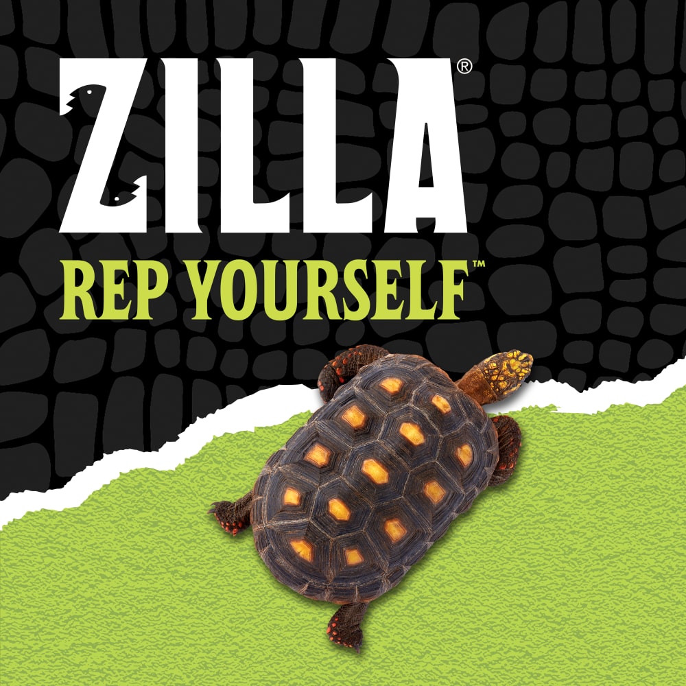 zilla-lifestyle20-brandingi