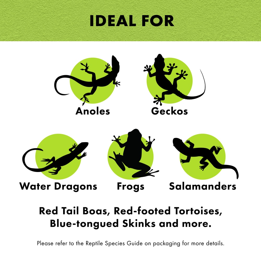 junglemix-infographic03
