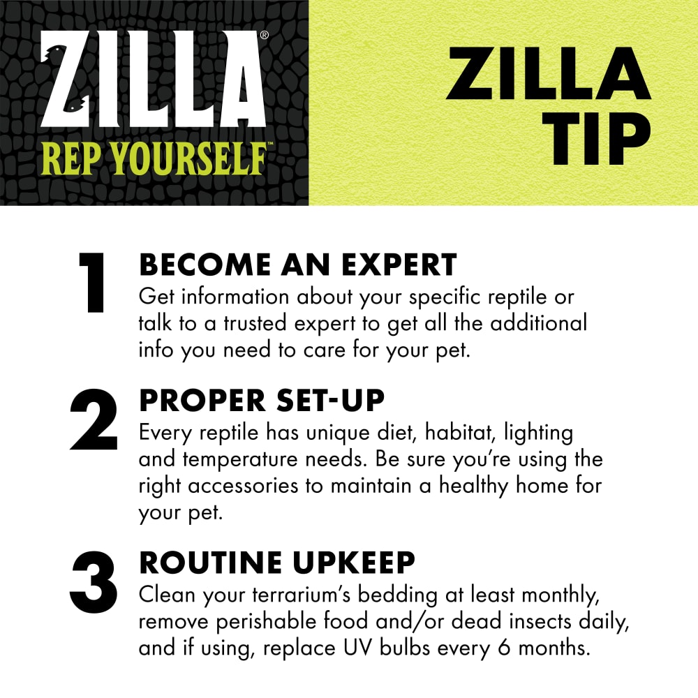 zilla-infographic10-educationliner