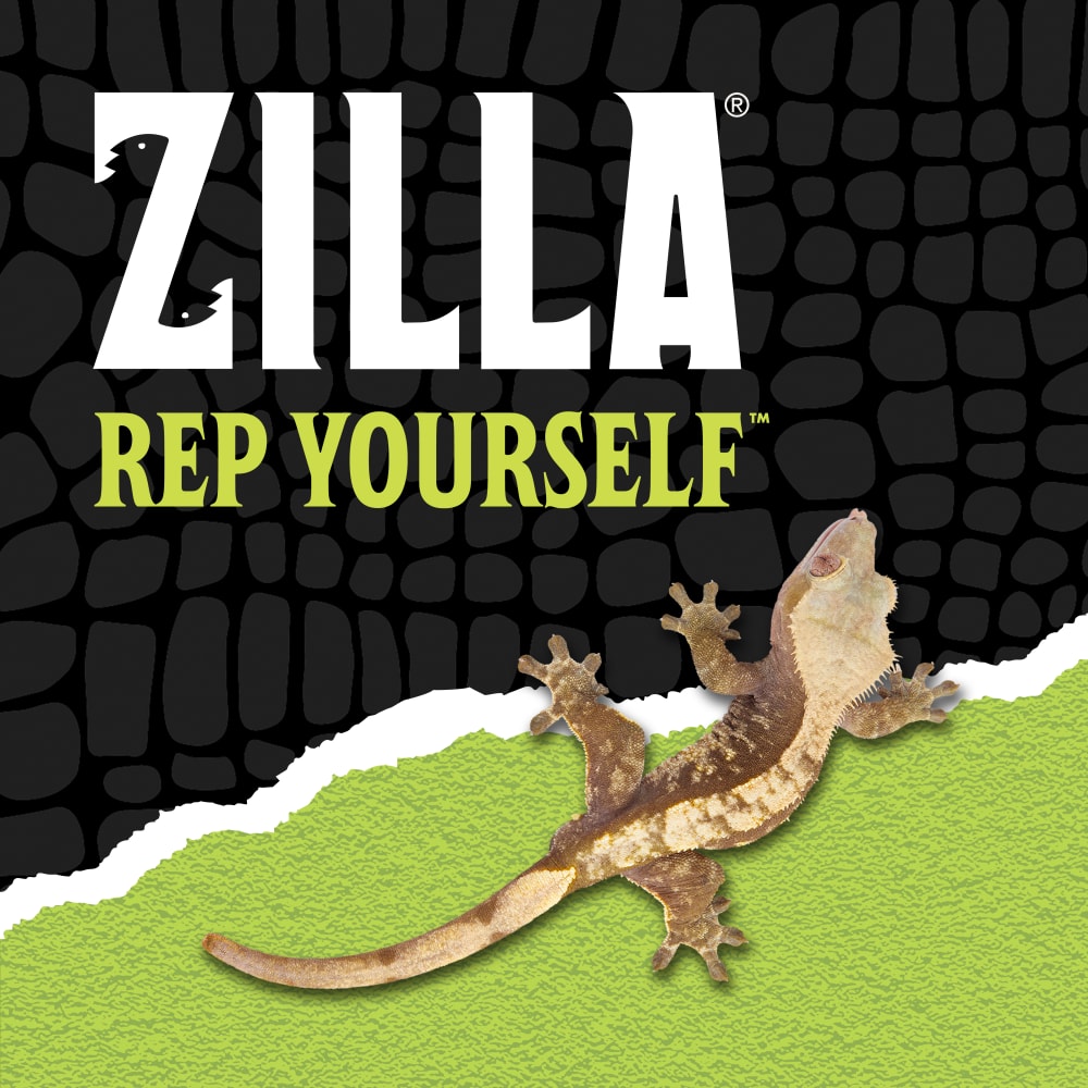 zilla-lifestyle20-brandingn