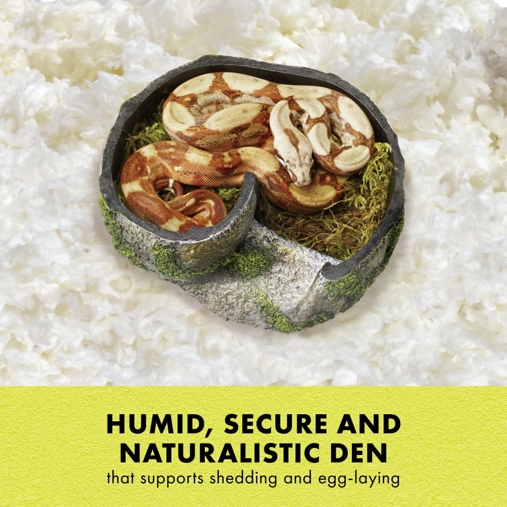 Humid, secure and naturalistic den