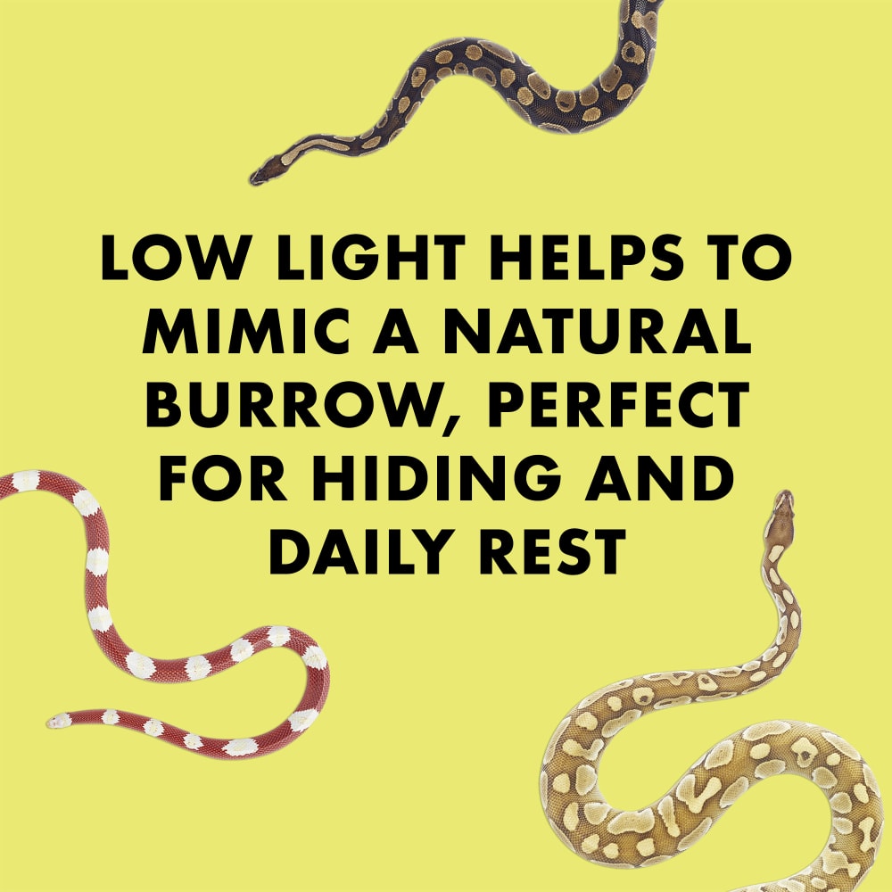 Low light helps to mimic a natural burrow,perfect for hiding & daily rest