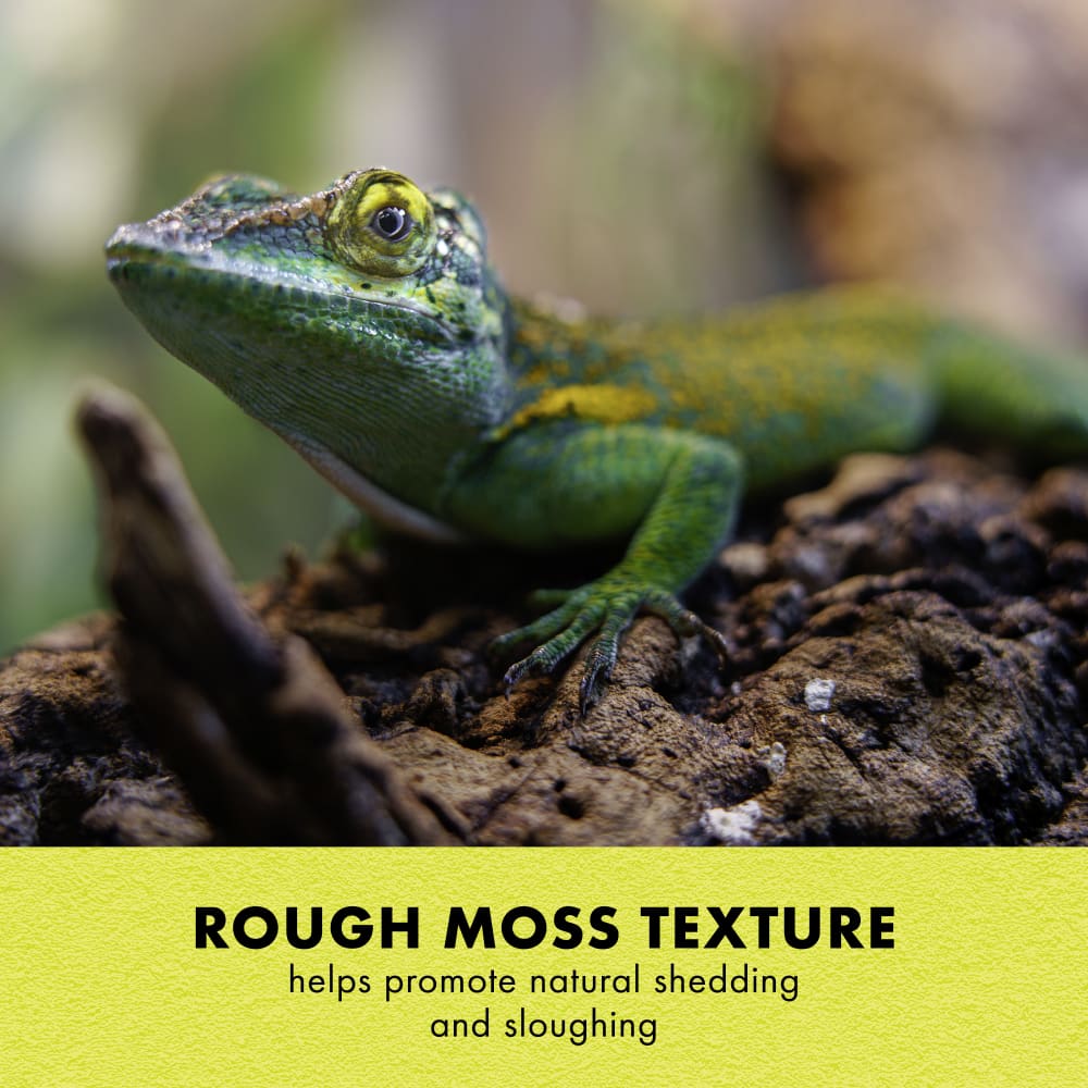 Rough moss texture helps promote natural shedding & sloughing