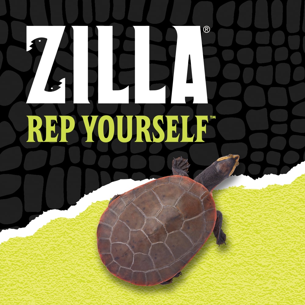 Zilla Rep Yourself with a turtle over black scale background ripped halfway into green