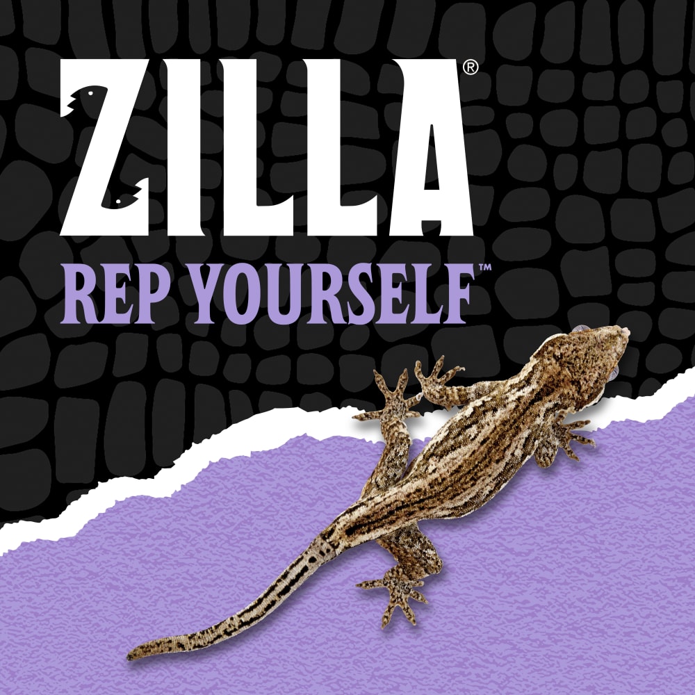 zilla-lifestyle20-brandingy
