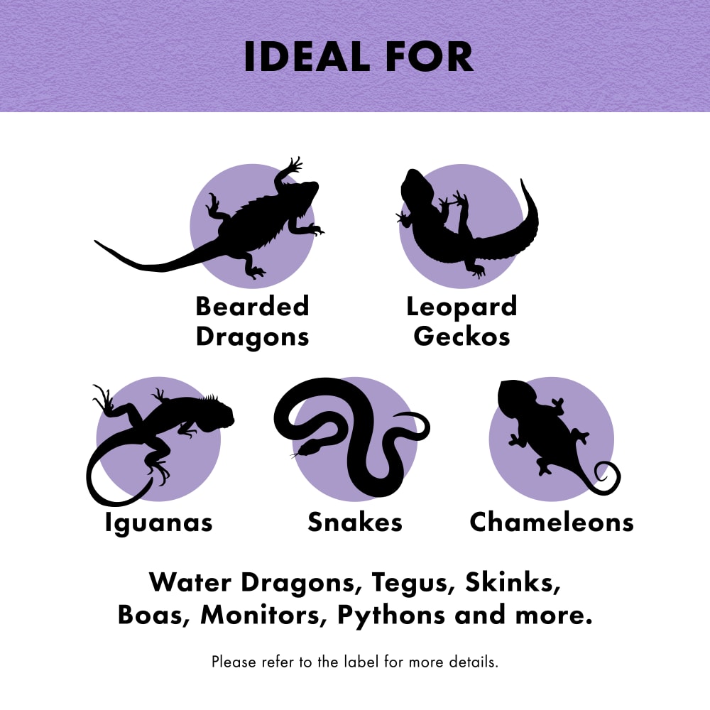 zilla-infographic03-benefitshedease