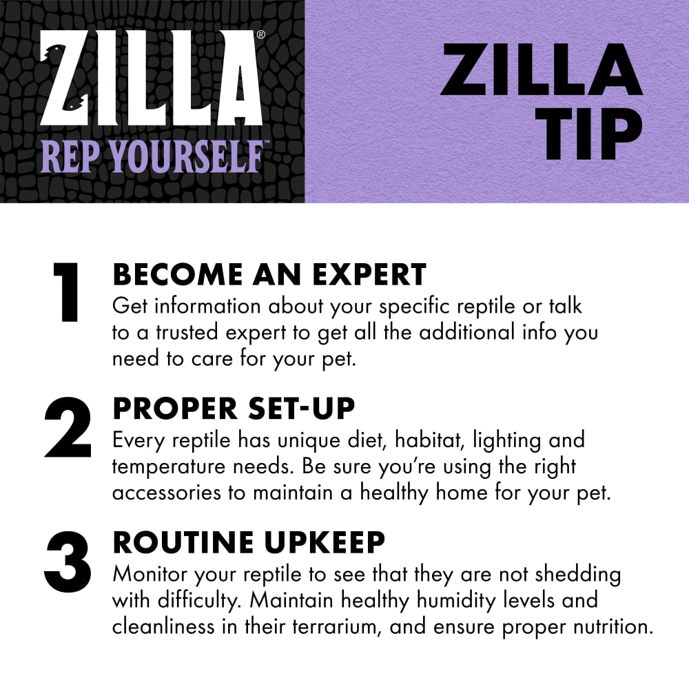 zilla-infographic10-educationshedease