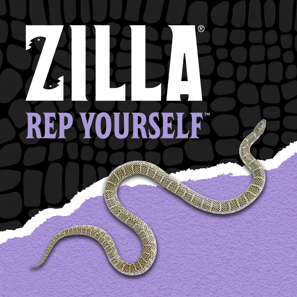 zilla-lifestyle20-brandingu