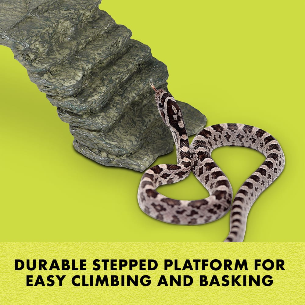 Durable stepped platform for easy climbing and basking